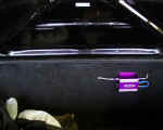 Zex nitrous control box mounted in trunk